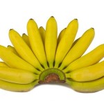 ปลูกกล้วยหอมทองอาชีพเสริมเพิ่มรายได้