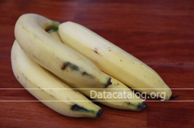 ปลูกกล้วยหอมทองอาชีพเสริมเพิ่มรายได้