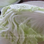 สูตรและวิธีทำต้มจืดผักกาดขาวทำขายเป็นอาชีพเสริมที่น่าสนใจ
